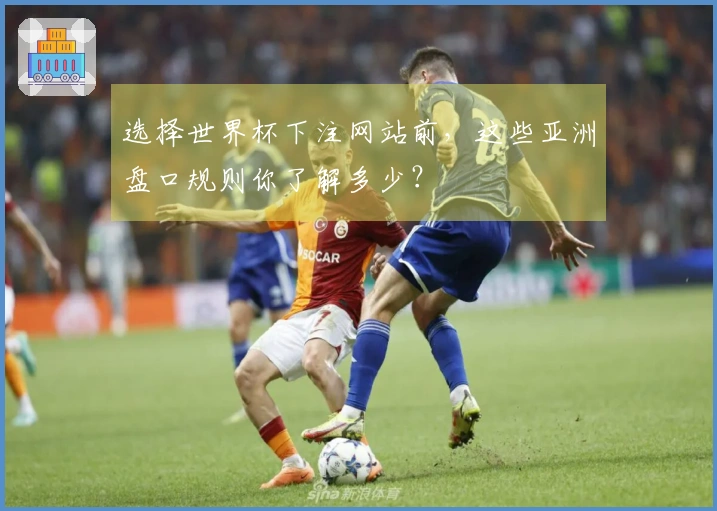 选择世界杯下注网站前，这些亚洲盘口规则你了解多少？