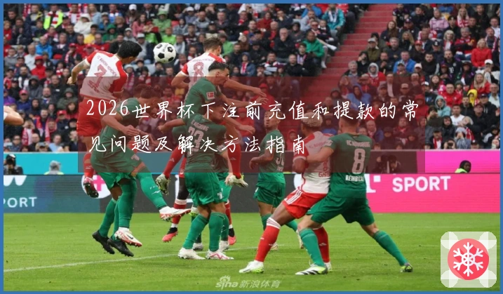 2026世界杯下注前充值和提款的常见问题及解决方法指南