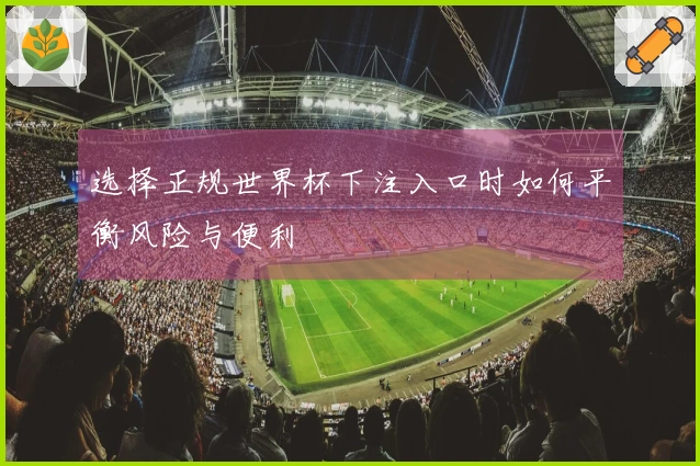 选择正规世界杯下注入口时如何平衡风险与便利