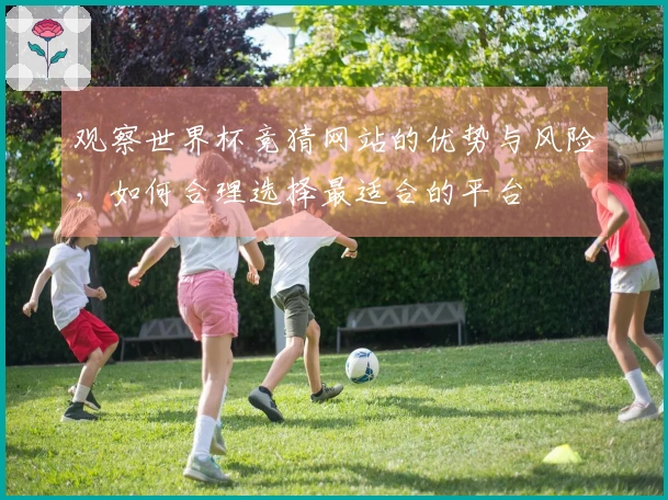 观察世界杯竞猜网站的优势与风险，如何合理选择最适合的平台