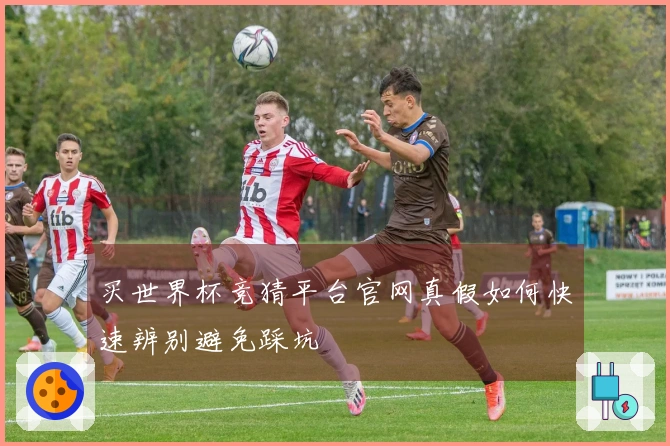 买世界杯竞猜平台官网真假如何快速辨别避免踩坑