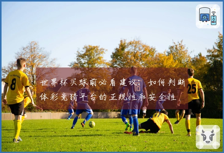 世界杯买球前必看建议：如何判断体彩竞猜平台的正规性和安全性