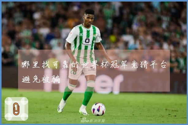 哪里找可靠的世界杯冠军竞猜平台避免被骗