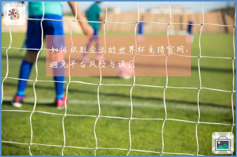 如何识别合法的世界杯竞猜官网，避免平台风险与误区