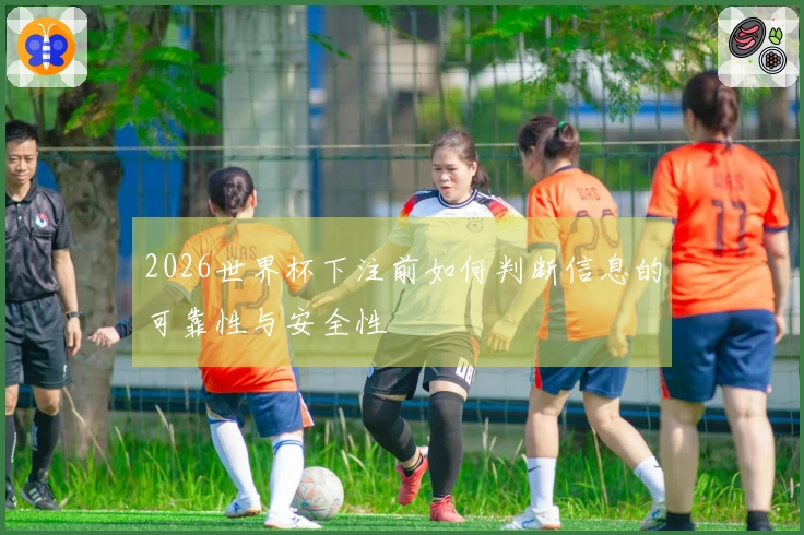 2026世界杯下注前如何判断信息的可靠性与安全性