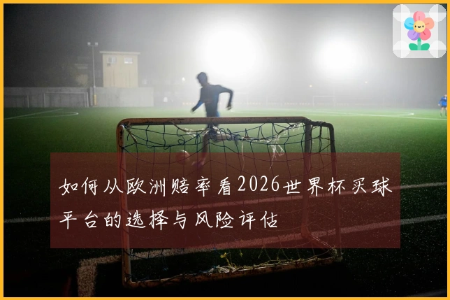 如何从欧洲赔率看2026世界杯买球平台的选择与风险评估