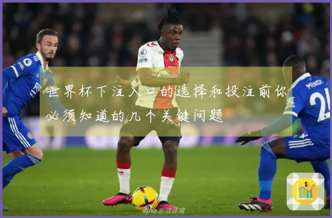 世界杯下注入口的选择和投注前你必须知道的几个关键问题