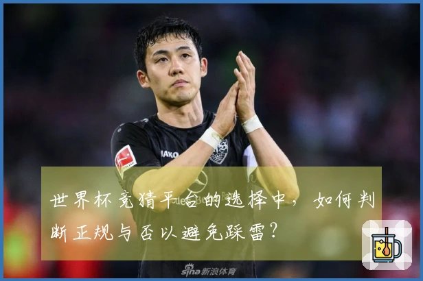 世界杯竞猜平台的选择中，如何判断正规与否以避免踩雷？
