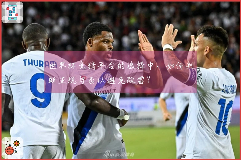 世界杯竞猜平台的选择中，如何判断正规与否以避免踩雷？