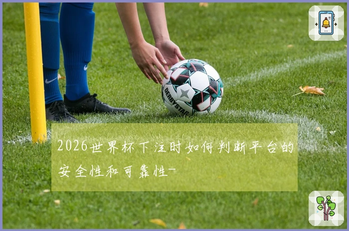 2026世界杯下注时如何判断平台的安全性和可靠性-