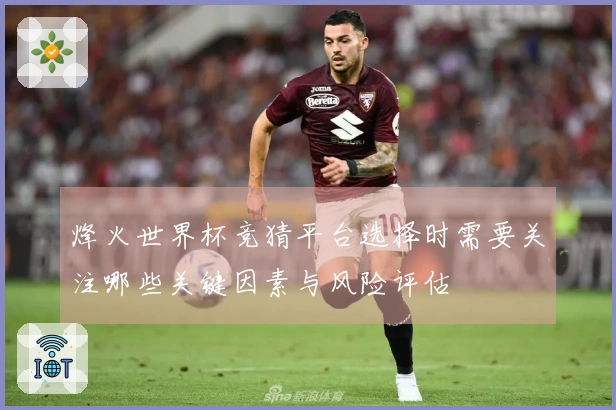烽火世界杯竞猜平台选择时需要关注哪些关键因素与风险评估