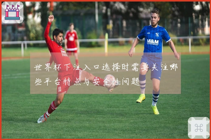 世界杯下注入口选择时需要关注哪些平台特点与安全性问题