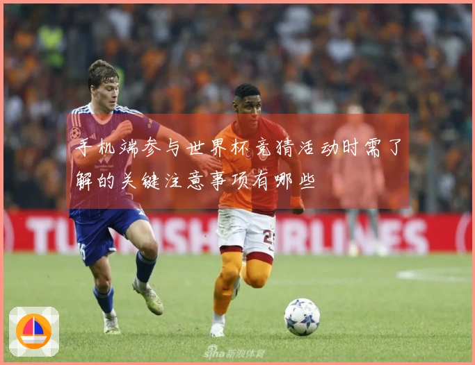 手机端参与世界杯竞猜活动时需了解的关键注意事项有哪些