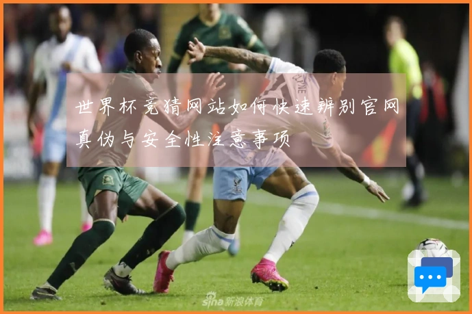世界杯竞猜网站如何快速辨别官网真伪与安全性注意事项