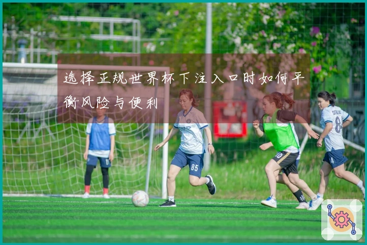 选择正规世界杯下注入口时如何平衡风险与便利