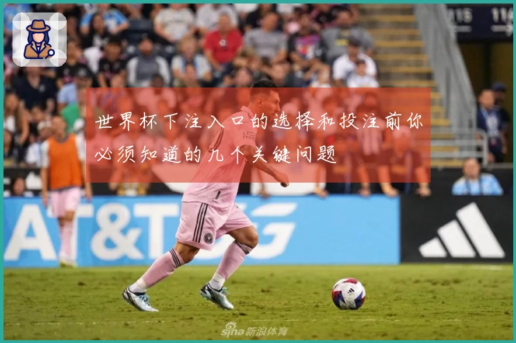 世界杯下注入口的选择和投注前你必须知道的几个关键问题