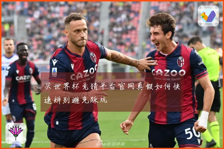 买世界杯竞猜平台官网真假如何快速辨别避免踩坑