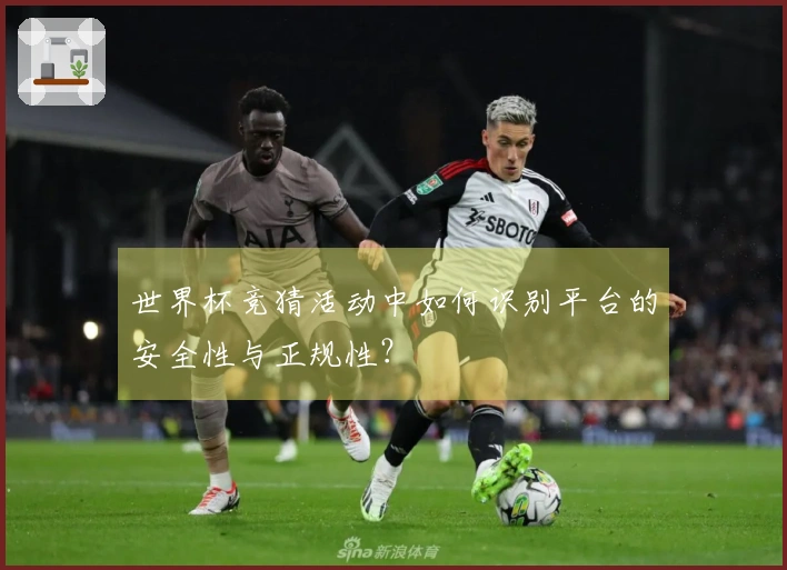 世界杯竞猜活动中如何识别平台的安全性与正规性？