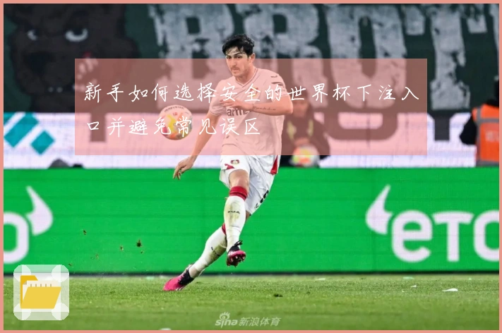 新手如何选择安全的世界杯下注入口并避免常见误区