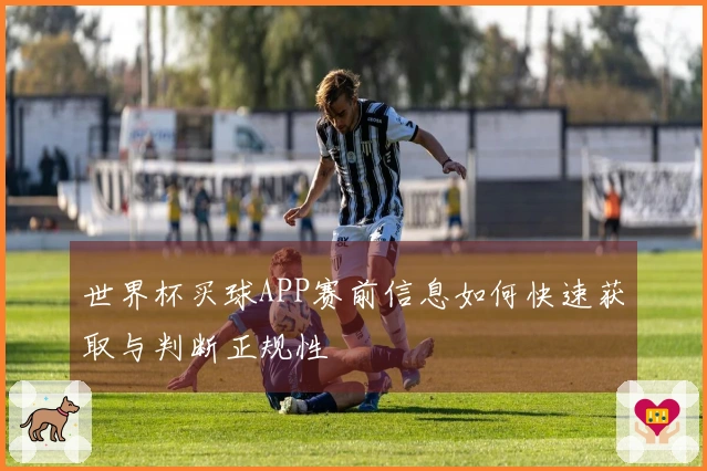 世界杯买球APP赛前信息如何快速获取与判断正规性