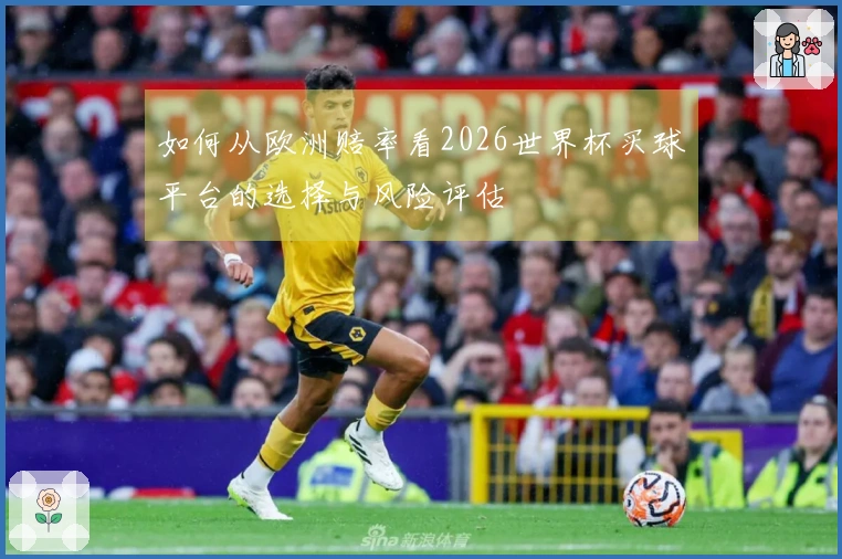 如何从欧洲赔率看2026世界杯买球平台的选择与风险评估
