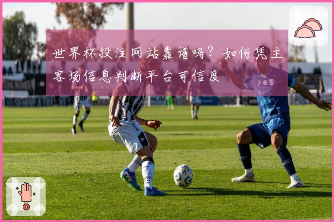 世界杯投注网站靠谱吗？如何凭主客场信息判断平台可信度