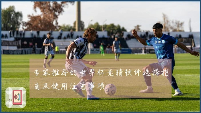 专家推荐的世界杯竞猜软件选择指南及使用注意事项