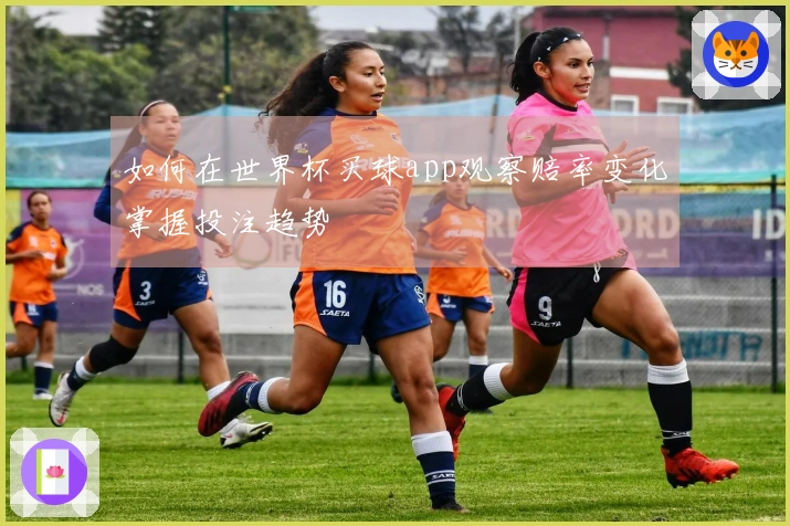 如何在世界杯买球app观察赔率变化掌握投注趋势