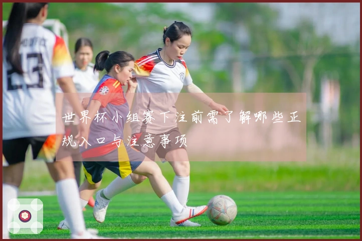 世界杯小组赛下注前需了解哪些正规入口与注意事项