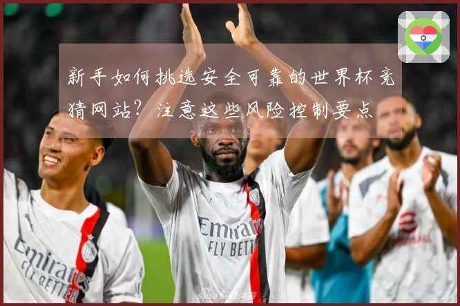 新手如何挑选安全可靠的世界杯竞猜网站？注意这些风险控制要点