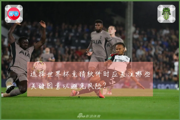 选择世界杯竞猜软件时应关注哪些关键因素以避免风险？