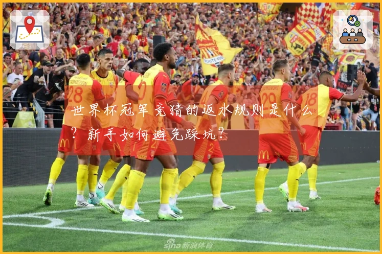 世界杯冠军竞猜的返水规则是什么？新手如何避免踩坑？