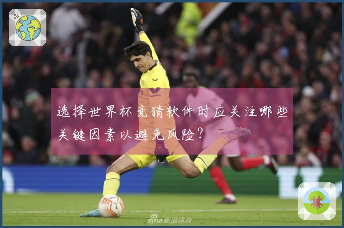 选择世界杯竞猜软件时应关注哪些关键因素以避免风险？