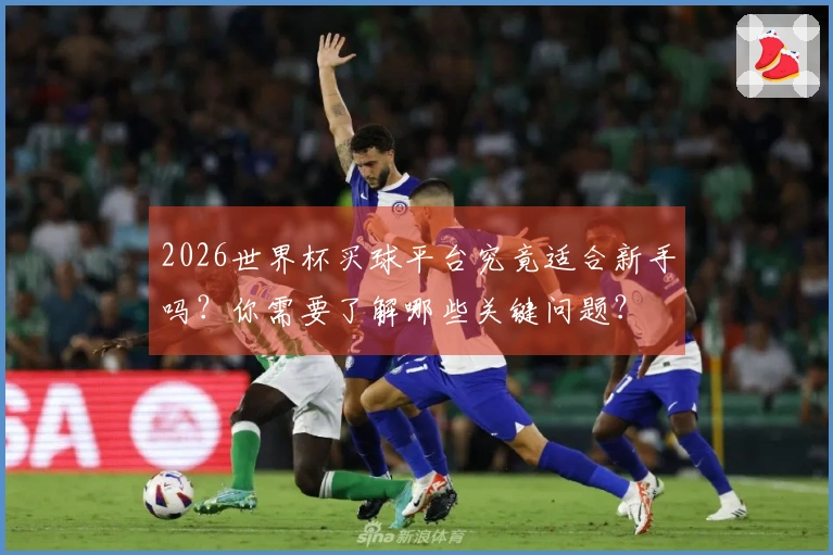 2026世界杯买球平台究竟适合新手吗？你需要了解哪些关键问题？