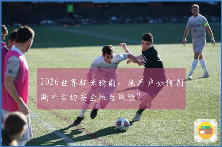 2026世界杯竞猜前，老用户如何判断平台的安全性与风险？