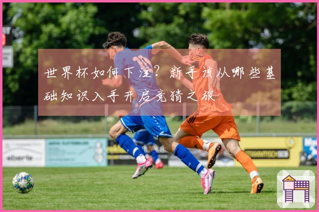 世界杯如何下注？新手该从哪些基础知识入手开启竞猜之旅